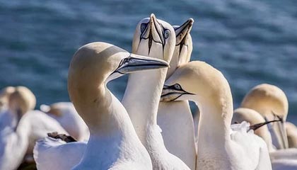 快手业务秒到账平台，一秒5000赞，24小时秒单服务