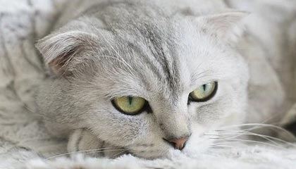 限时秒到账：快手业务平台一键下单，轻松获取5000赞！