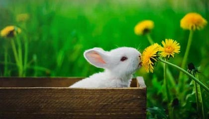 DY业务24小时秒单业务-DY低价下单平台商城,快手业务平台真人下单-立即购买享受限时优惠!